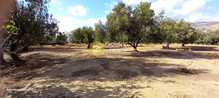Οικόπεδο 2.737 τ.μ. για πώληση, Εύβοια, Κάρυστος-thumb-1