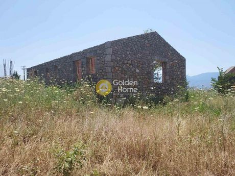 Detached home 480sqm for sale-Amfikleia » Mpralos