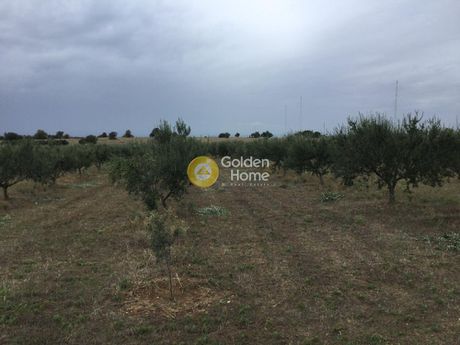 Αγροτεμάχια 8.700τ.μ. για πώληση-Μηχανιώνα » Αγγελοχώρι