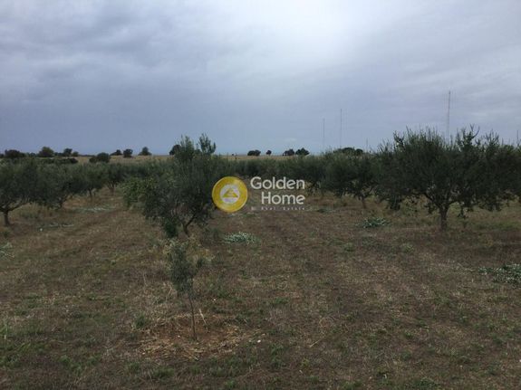 Αγροτεμάχια 8.700 τ.μ. για πώληση, Θεσσαλονίκη - Περιφ/Κοί Δήμοι, Μηχανιώνα