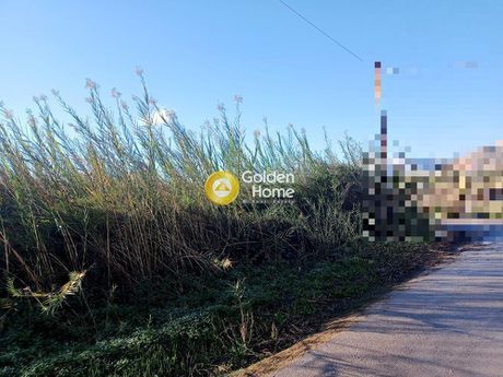 Οικόπεδο 2.500τ.μ. για πώληση-Γάζι » Άγιος δημήτριος (τ. καραμανλή μετόχι)