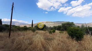 Αγροτεμάχια 1.400 τ.μ. για πώληση, Φωκίδα, Ιτέα-thumb-3