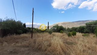 Αγροτεμάχια 1.400 τ.μ. για πώληση, Φωκίδα, Ιτέα-thumb-6