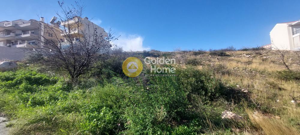 Οικόπεδο 1.344 τ.μ. προς πώληση, Ντράφι