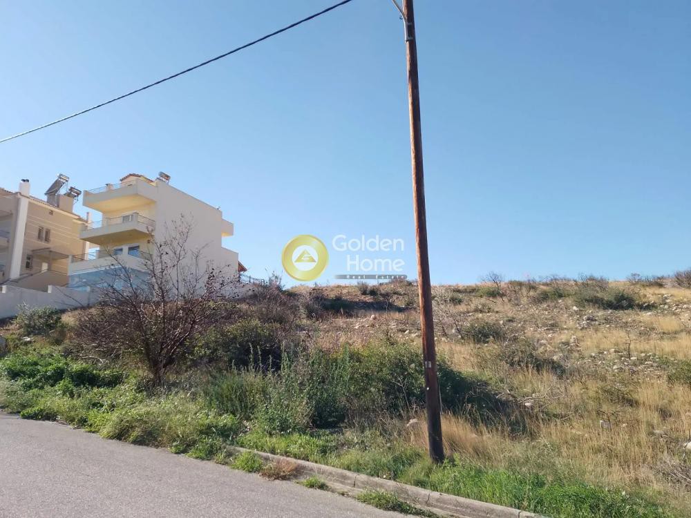 Οικόπεδο 1.344 τ.μ. προς πώληση, Ντράφι