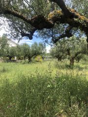 Οικόπεδο 1.000 τ.μ. για πώληση