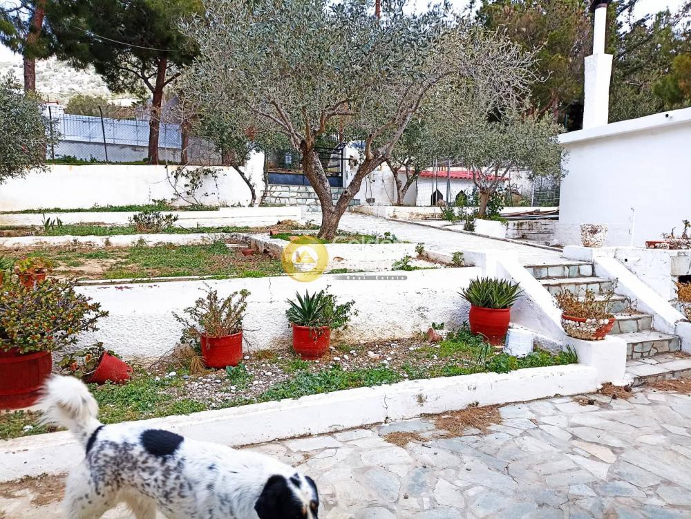Μονοκατοικία 102 τ.μ. πρός πώληση, Αττική - Υπόλοιπο, Νέα Πέραμος (μεγάλο Πεύκο)