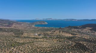 Αγροτεμάχια 11.889 τ.μ. για πώληση