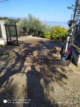 Μονοκατοικία 164τ.μ. για πώληση-Δαφνούσες » Αγία αικατερίνη