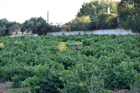 Parcel 5.000sqm for sale-Spata » Christoupoli