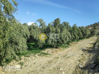 Οικόπεδο 1.700 τ.μ. για πώληση, Ν. Ηρακλείου, Μοίρες-thumb-8