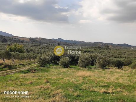Land plot 1.700sqm for sale-Moires » Perio