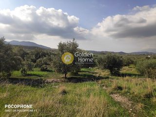 Οικόπεδο 1.700 τ.μ. για πώληση, Ν. Ηρακλείου, Μοίρες-thumb-21