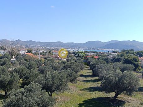 Parcel 250sqm for sale-Anavissos » Mavro Lithari