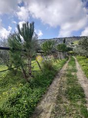 Οικόπεδο 1.980 τ.μ. για πώληση