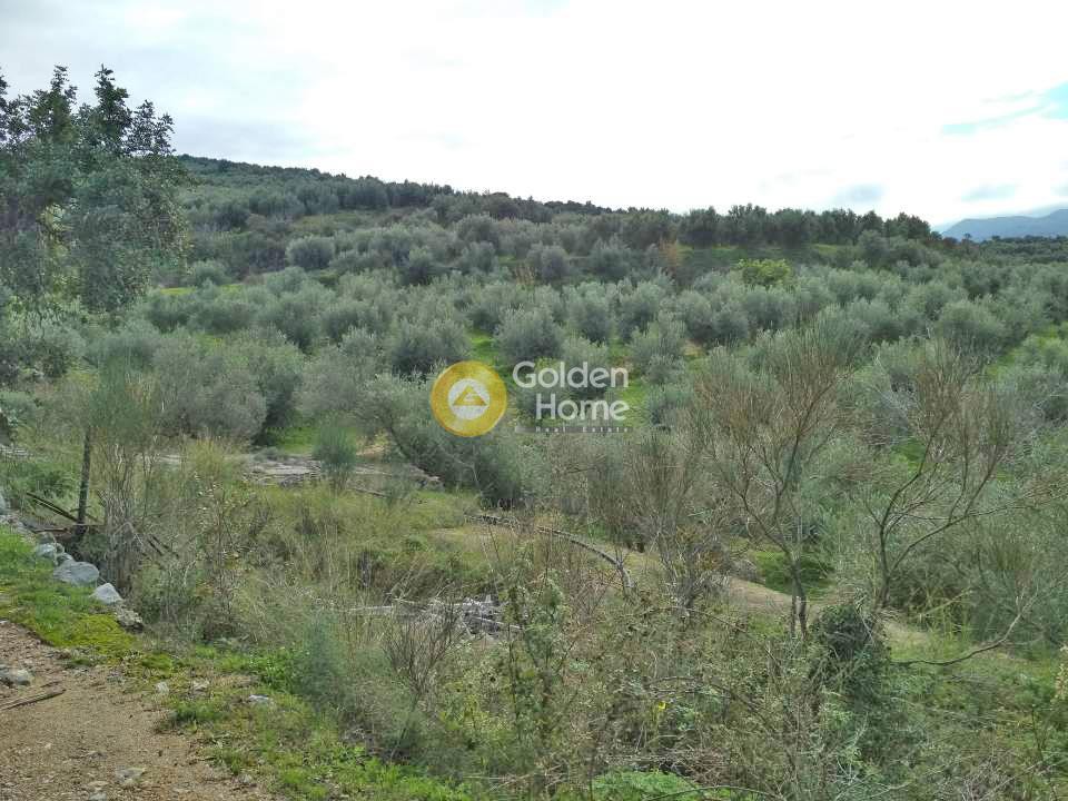 Οικόπεδο 7.715 τ.μ. πρός πώληση, Ν. Ρεθύμνου, Κουλουκώνας