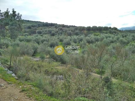 Οικόπεδο 7.715τ.μ. για πώληση-Κουλουκώνας » Κρυονέρι