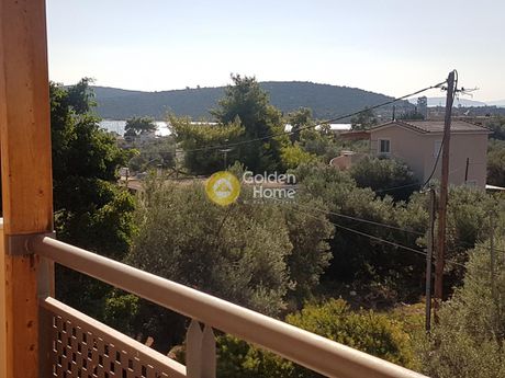 Κτίριο 225τ.μ. για πώληση-Σολύγεια » Κόρφος