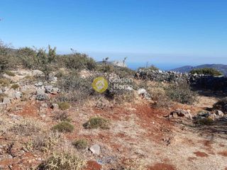 Αγροτεμάχια 100.000 τ.μ. για πώληση