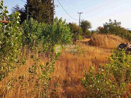 Οικόπεδο 5.088τ.μ. για πώληση-Κ. καπανδριτίου » Καπανδρίτι