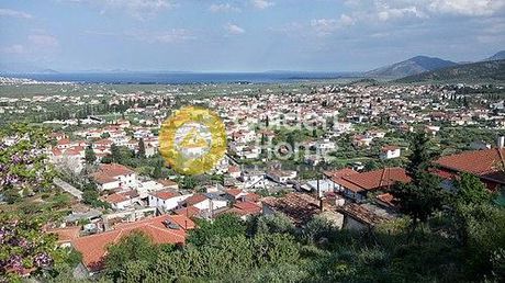 Οικόπεδο 2.386τ.μ. για πώληση-Βόρεια κυνουρία » Άστρος