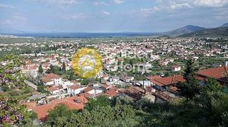 Οικόπεδο 2.386 τ.μ. για πώληση