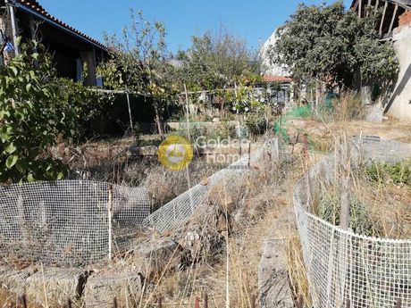 Οικόπεδο 200τ.μ. για πώληση-Αχαρνές » Αμυγδαλέζα