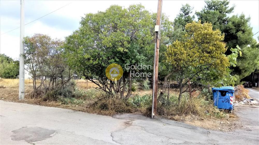 Αγροτεμάχια 360 τ.μ. προς πώληση, Μεγάλα Σχοινία Β