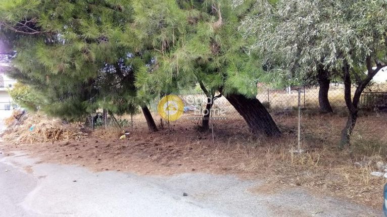 Αγροτεμάχια 360 τ.μ. για πώληση, Αθήνα - Δυτικά Προάστια, Αχαρνές