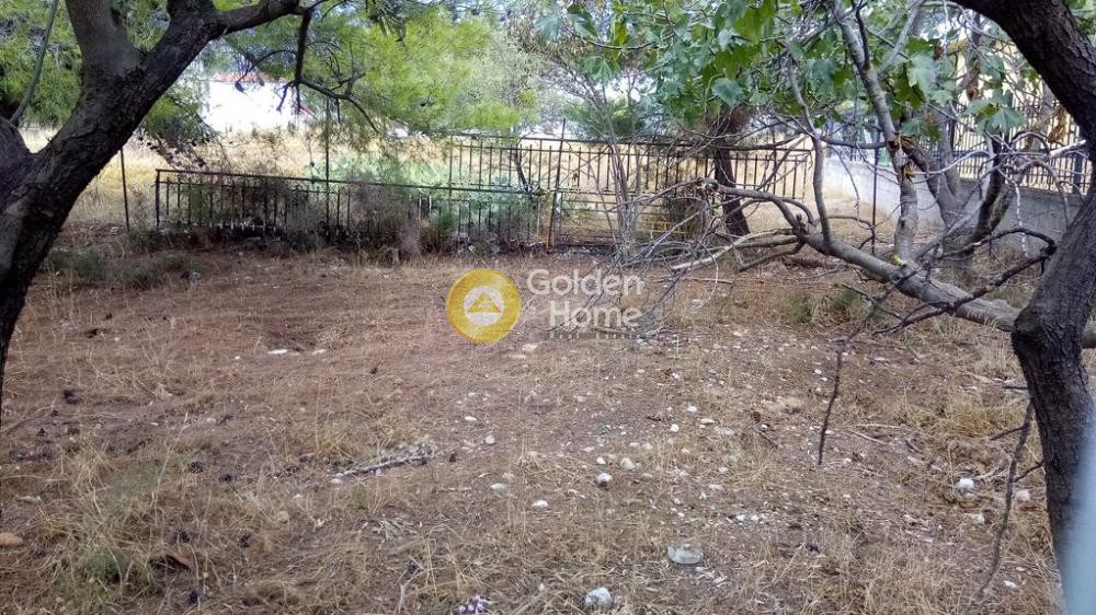 Αγροτεμάχια 360 τ.μ. προς πώληση, Μεγάλα Σχοινία Β