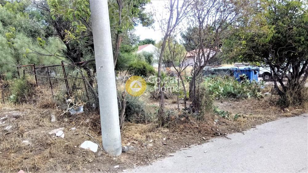 Αγροτεμάχια 360 τ.μ. προς πώληση, Μεγάλα Σχοινία Β