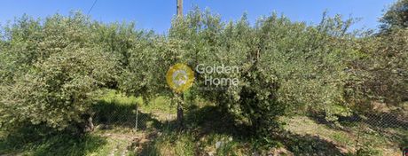 Parcel 2.753sqm for sale-Armenoi » Kalives