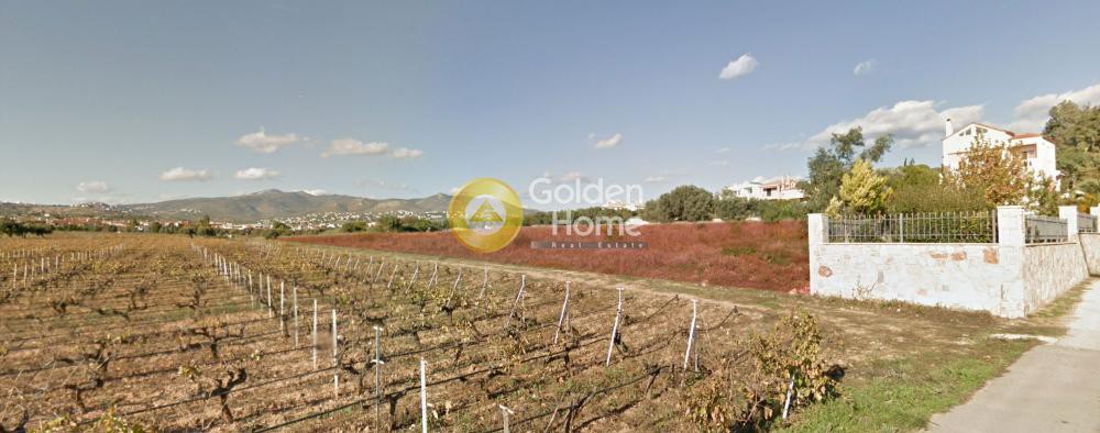 Οικόπεδο 9.890 τ.μ. προς πώληση, Ήμερος Πεύκος