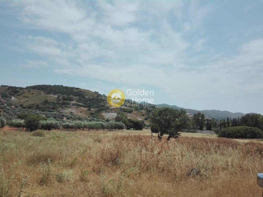 Αγροτεμάχια 5.750 τ.μ. προς πώληση, Αρί
