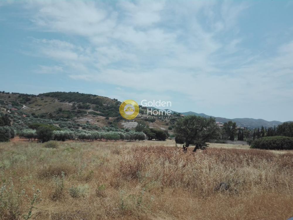 Αγροτεμάχια 5.750 τ.μ. προς πώληση, Αρί