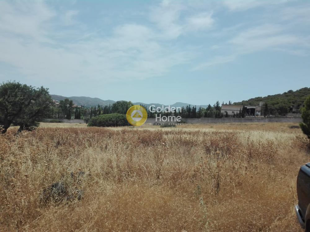 Αγροτεμάχια 5.750 τ.μ. προς πώληση, Αρί
