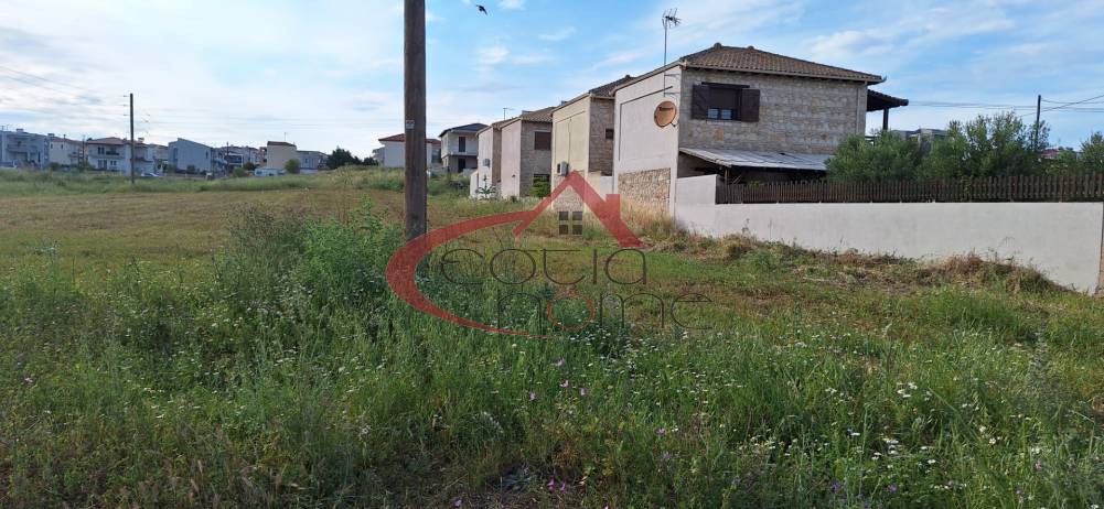 Οικόπεδο 270 τ.μ. προς πώληση, Νέα Φώκαια Κασσάνδρας