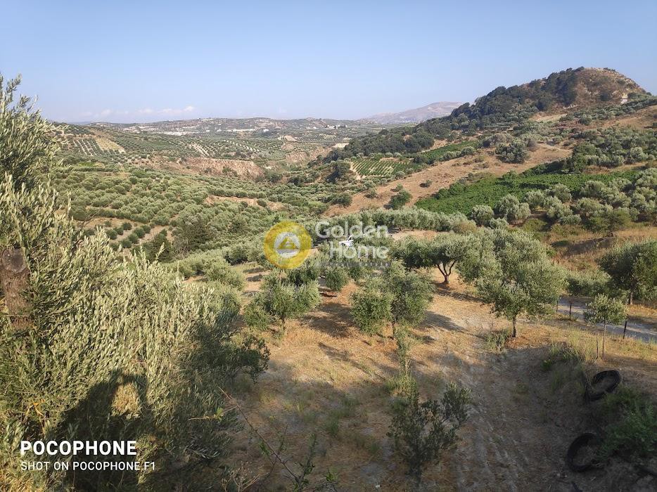 Αγροτεμάχια 6.200 τ.μ. προς πώληση, Πυργού