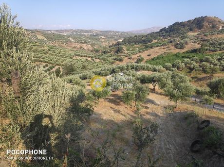 Αγροτεμάχια 6.200τ.μ. για πώληση-Γοργολαϊνη » Πυργού