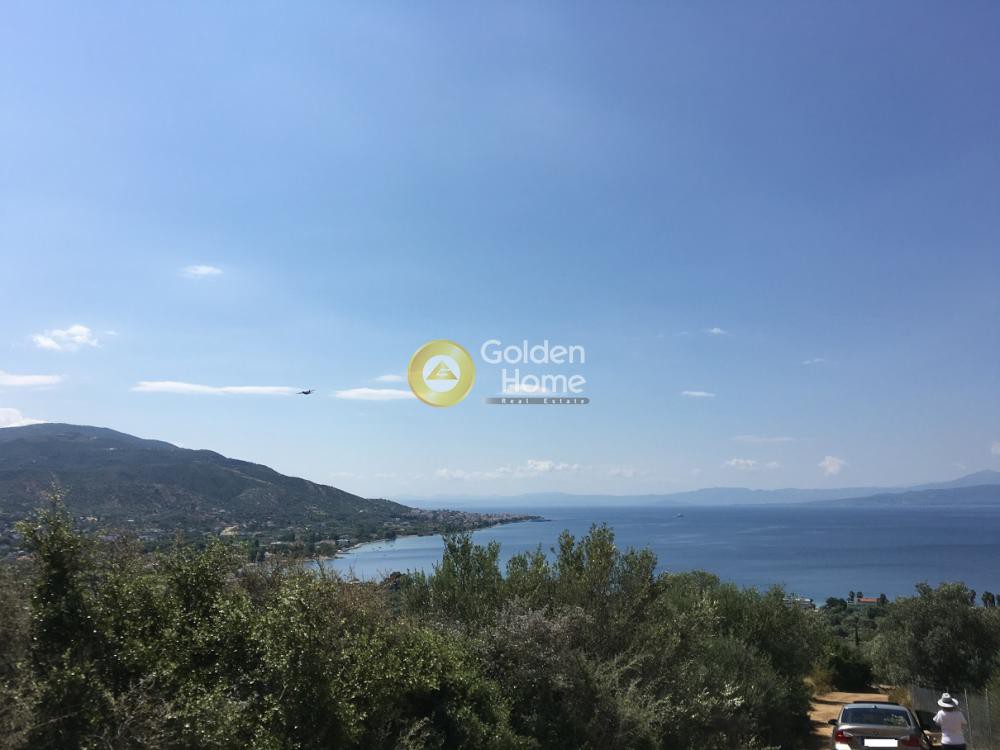 Land plot 4.200 sqm for sale, Aidipsos Center
