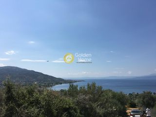 Οικόπεδο 4.200 τ.μ. για πώληση, Εύβοια, Αιδηψός-thumb-1