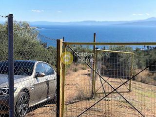 Οικόπεδο 4.200 τ.μ. για πώληση, Εύβοια, Αιδηψός-thumb-4