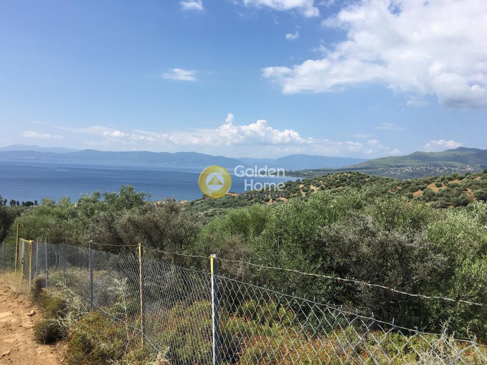 Οικόπεδο 4.200 τ.μ. για πώληση, Εύβοια, Αιδηψός
