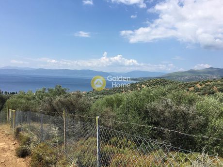 Οικόπεδο 4.200τ.μ. για πώληση-Αιδηψός » Κέντρο
