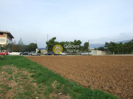 Land plot 30.000sqm for rent-Aspropirgos » Kampos