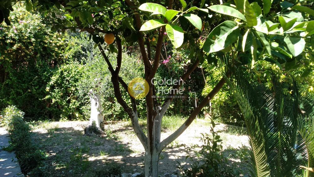 Μονοκατοικία 260 τ.μ. πρός πώληση, Αχαΐα, Παραλία