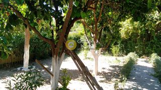 Μονοκατοικία 260 τ.μ. προς πώληση, Μιντιλόγλι-thumb-2