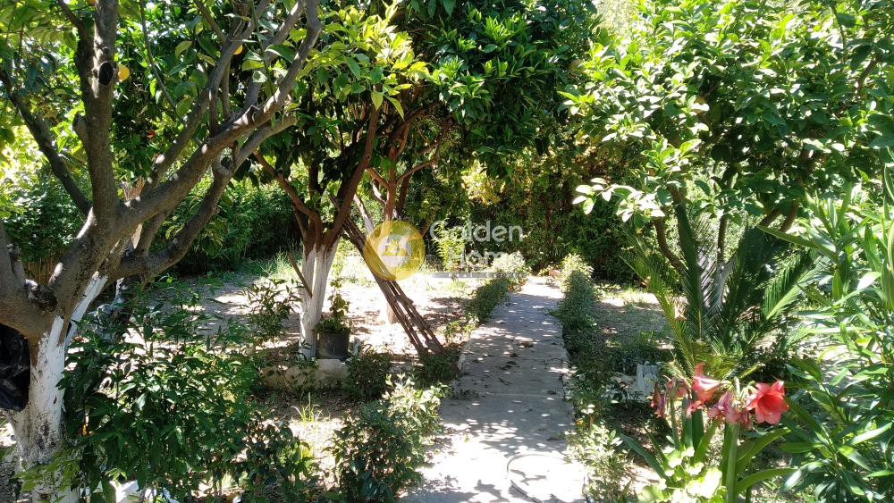 Μονοκατοικία 260 τ.μ. πρός πώληση, Αχαΐα, Παραλία