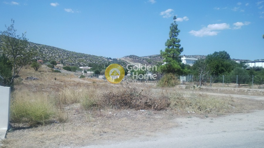 Αγροτεμάχια 3.300 τ.μ. προς πώληση, Λαγονήσι