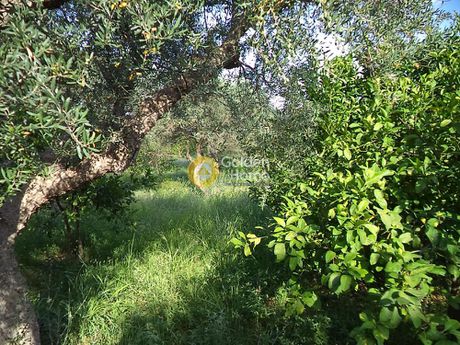 Parcel 5.440sqm for sale-Aigio » Kouloura